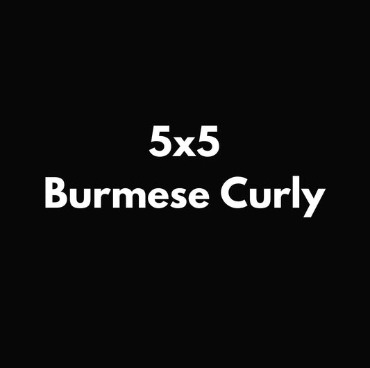 5x5 Burmese Curly Closures