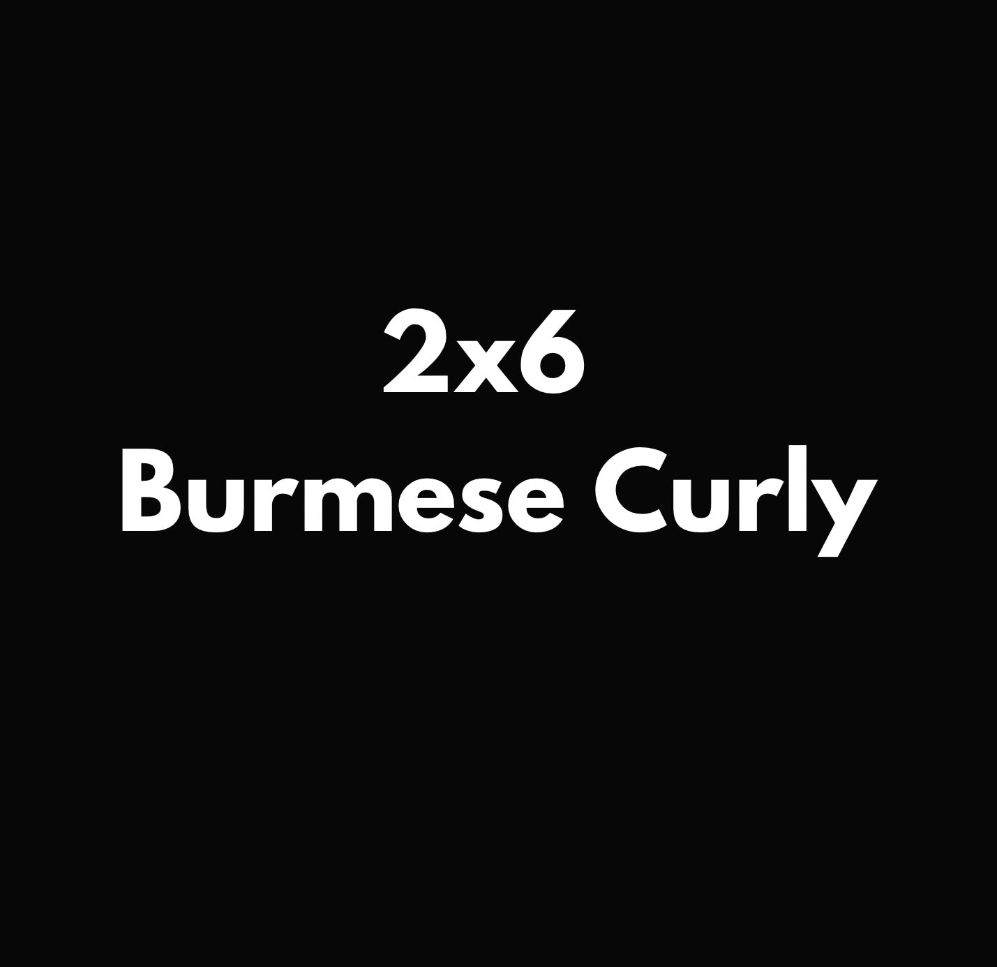 2x6 Burmese Curly Closures